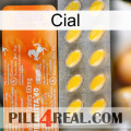 Cial new05